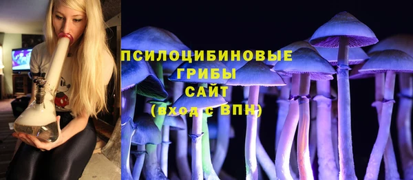 соль курить ск Заводоуковск